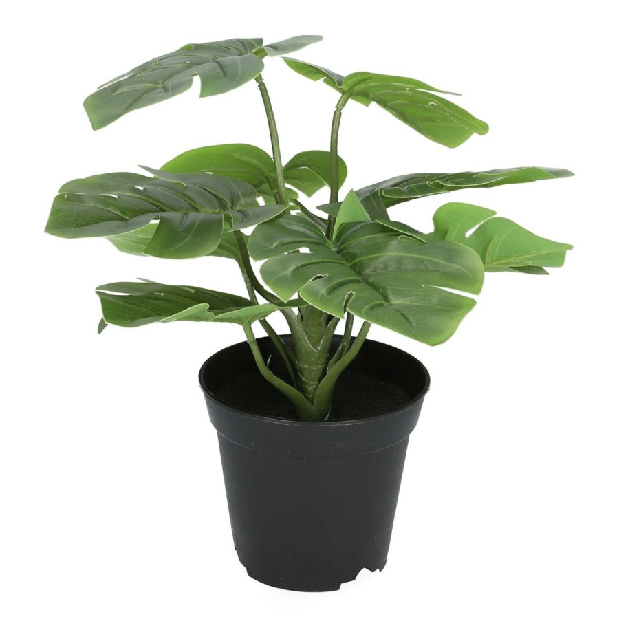 Clearance HOMLA Roslina Monstera Sztuczna 29 Cm Zielony