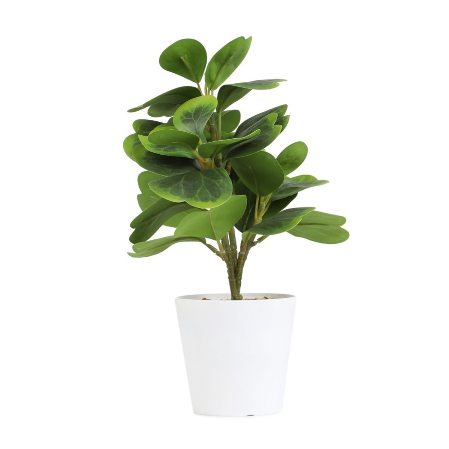 Wholesale HOMLA Roslina Sztuczna Semela Peperomia 30 Cm